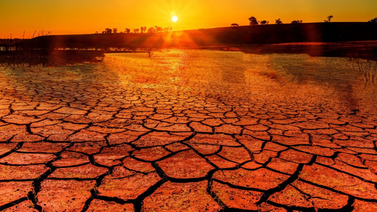 8 Shocking Facts About Global Warming Everyone Should Know